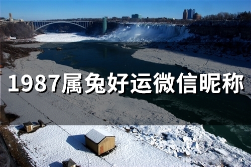 1987属兔好运微信昵称(51个)