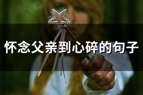 怀念父亲到心碎的句子(精选46句)