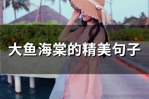 大鱼海棠的精美句子(精选56句)