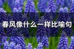 春风像什么一样比喻句(精选54句)