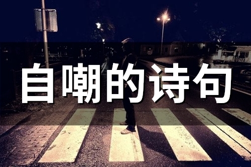 自嘲的诗句(精选50句)