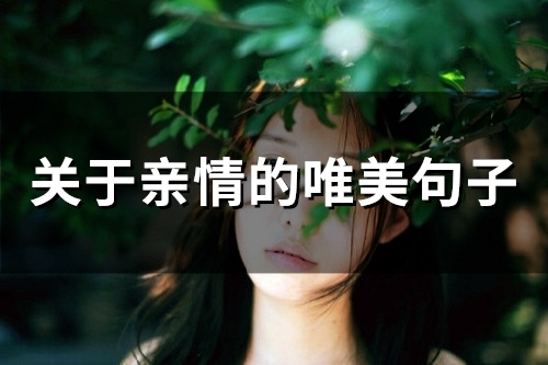 关于亲情的唯美句子(39句)