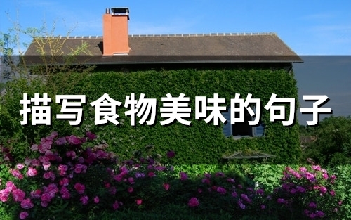 描写食物美味的句子(32句)
