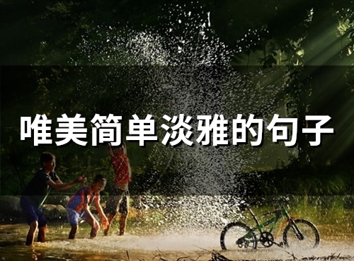 唯美简单淡雅的句子(47句) 唯美简单淡雅的句子(47句)