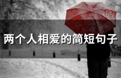 两个人相爱的简短句子(精选31句)