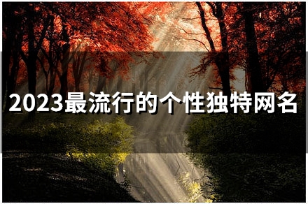 2023最流行的个性独特网名(精选48个)