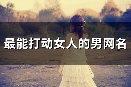 最能打动女人的男网名(54个)