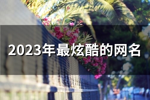 2023年最炫酷的网名(精选58个)