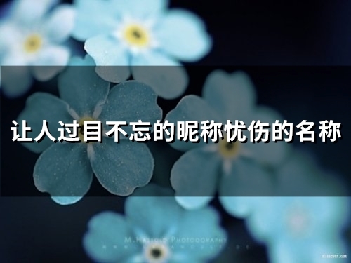 让人过目不忘的昵称忧伤的名称(55个)
