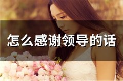 怎么感谢领导的话(58句)