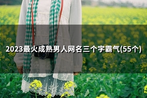 2023最火成熟男人网名三个字霸气(49个)