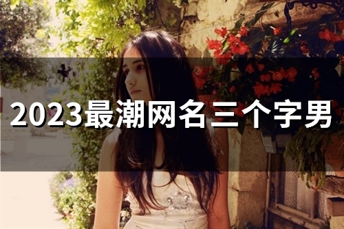 2023最潮网名三个字男(48个)