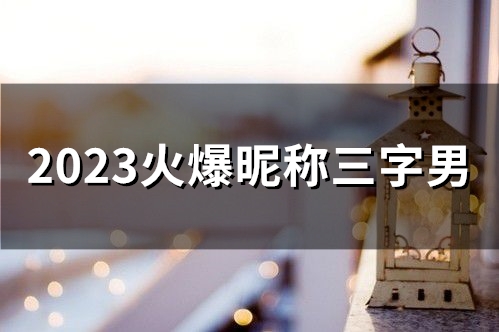 2023火爆昵称三字男(59个)