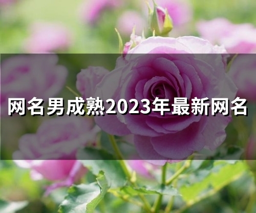 网名男成熟2023年最新网名(58个)