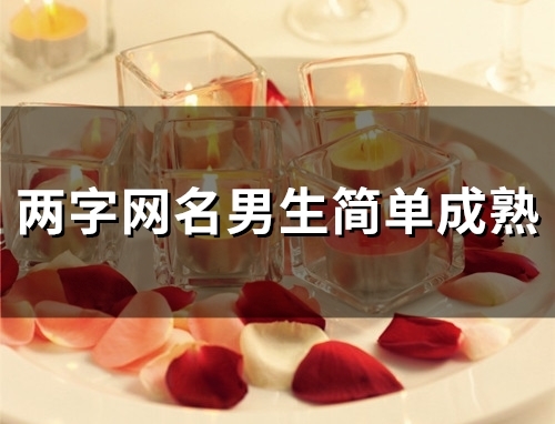 两字网名男生简单成熟(精选49个)