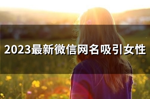 2023最新微信网名吸引女性(58个) 2023最新微信网名吸引女性(58个)