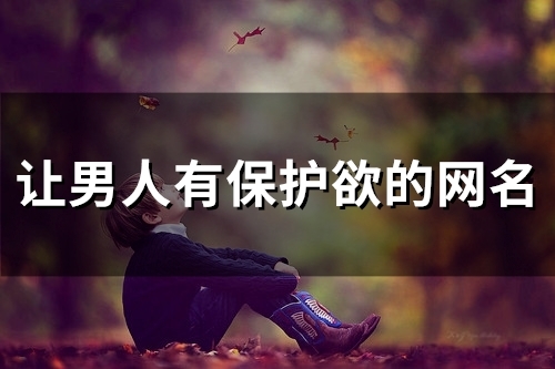 让男人有保护欲的网名(精选58个)