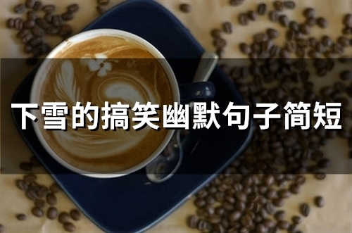 下雪的搞笑幽默句子简短(53句)