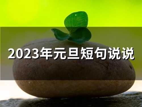 2023年元旦短句说说(精选52句)