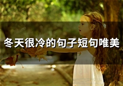 冬天很冷的句子短句唯美(45句)