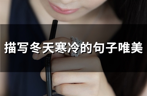 描写冬天寒冷的句子唯美(31句) 描写冬天寒冷的句子唯美(31句)