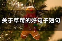 关于草莓的好句子短句(47句)