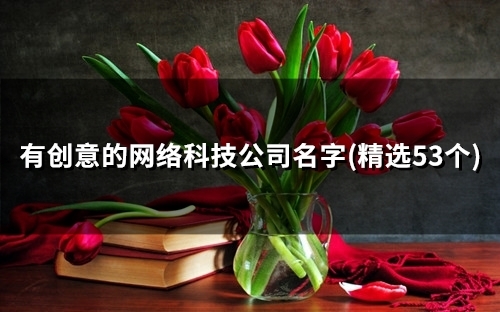 有创意的网络科技公司名字(54个)