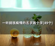 一听就很痴情的名字两个字(51个)