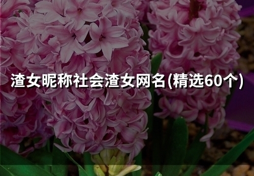 渣女昵称社会渣女网名(49个)