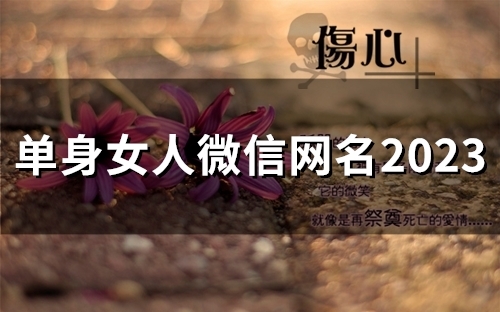 单身女人微信网名2023(46个)
