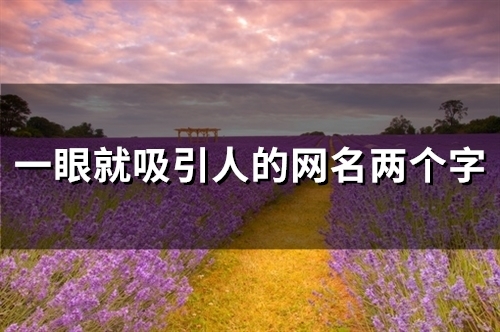 一眼就吸引人的网名两个字(56个)