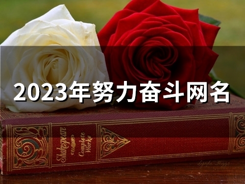 2023年努力奋斗网名(精选57个)