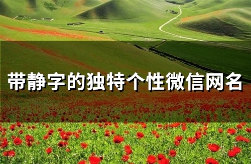 带静字的独特个性微信网名(精选38个)