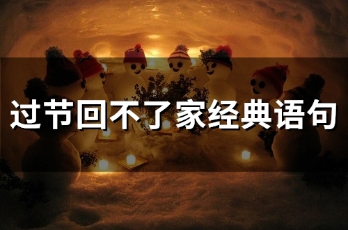 过节回不了家经典语句(精选53句)