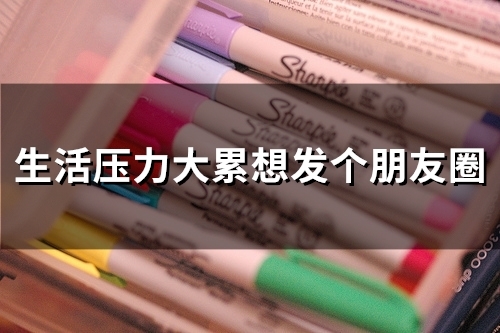 生活压力大累想发个朋友圈(36句)