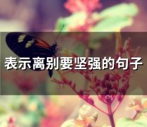 表示离别要坚强的句子(60句)