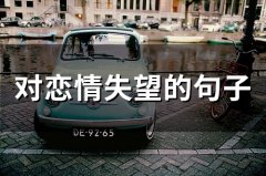对恋情失望的句子(59句)