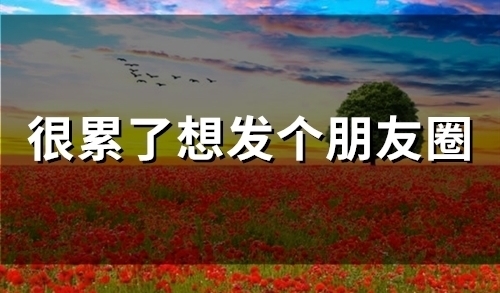 很累了想发个朋友圈(47句)