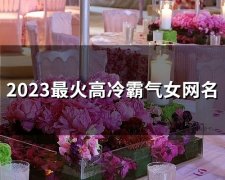 2023最火高冷霸气女网名(精选58个)