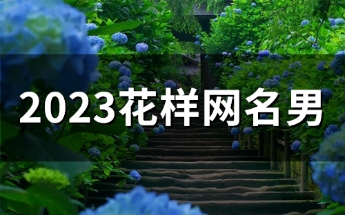 2023花样网名男(精选59个)