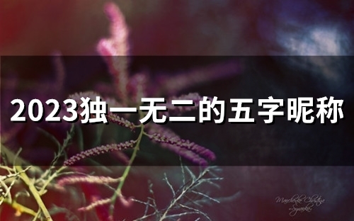 2023独一无二的五字昵称(精选54个)