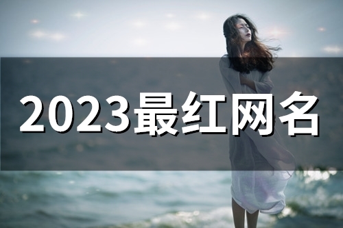 2023最红网名(56个)