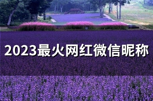 2023最火网红微信昵称(55个)