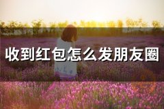 收到红包怎么发朋友圈(精选53句)