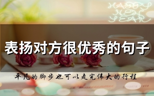 表扬对方很优秀的句子(精选47句)