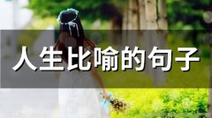 人生比喻的句子(48句)