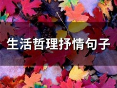 生活哲理抒情句子(精选60句)