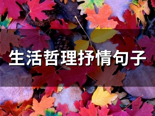 生活哲理抒情句子(精选60句)