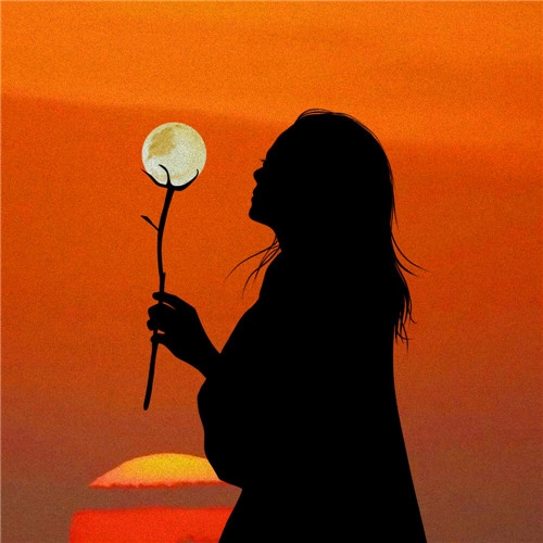 微信头像图片2023年免费