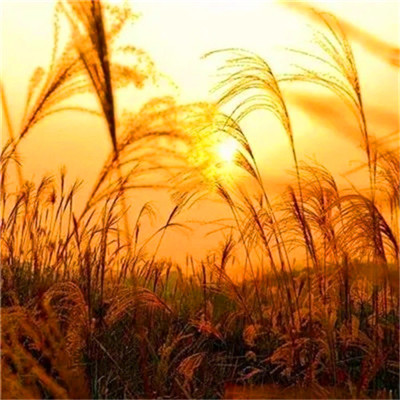 2023年最火微信头像女转好运(精选12张)